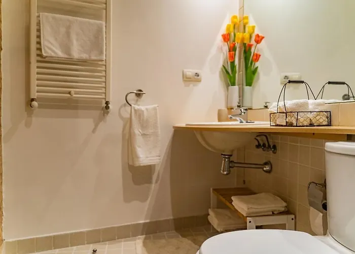 Estudio Centrico Junto A Estacion- Ccvialia Parking Gratis A شقة