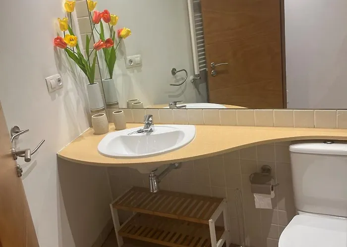 Estudio Centrico Junto A Estacion- Ccvialia Parking Gratis A